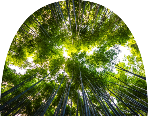 Responsabilité Environnementale